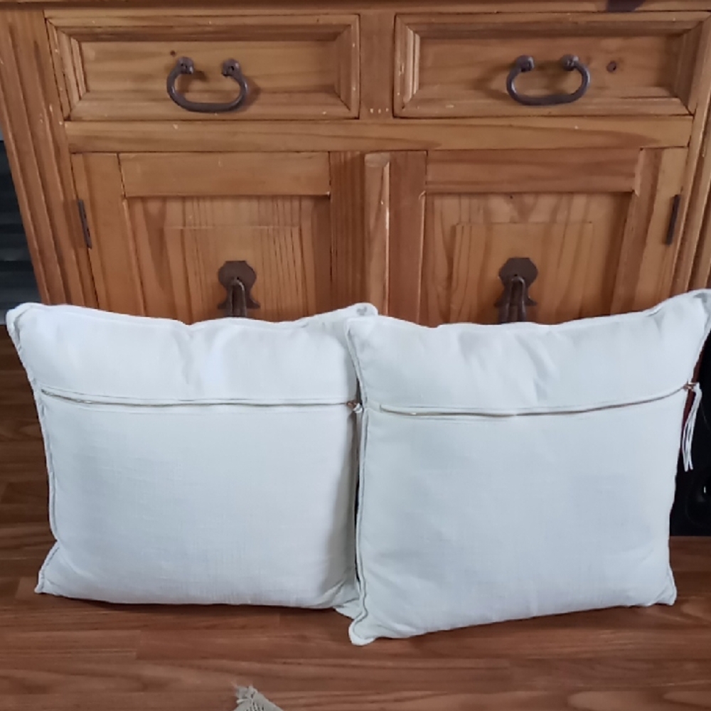 Thro 20"x20" Duck Feather Throw Pillows Gold Tone Zippers and Suede Tassels